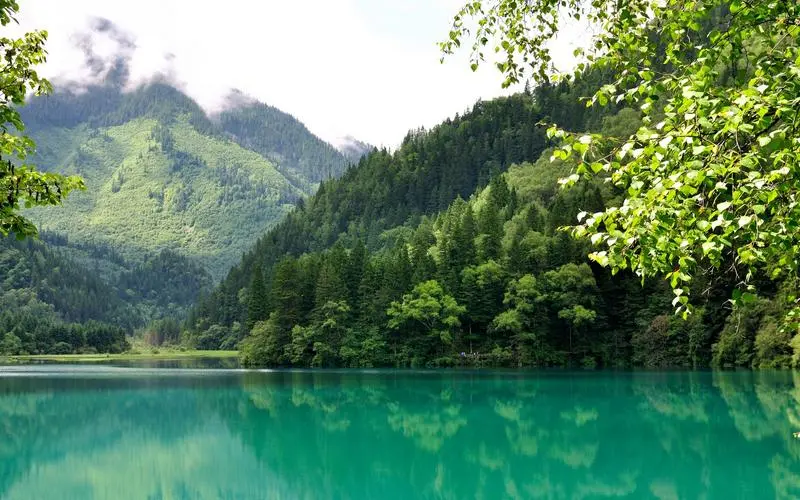 创新科技节能